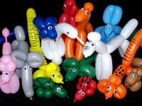 Balloon Animals Image